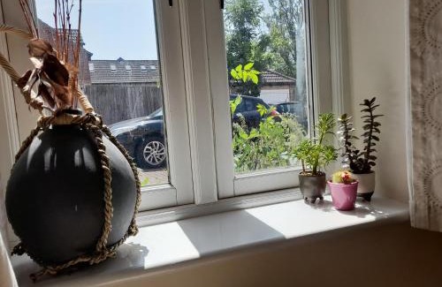 Cowley Apartment | Private rooms in a shared house in Oxford - Host lives in the property
