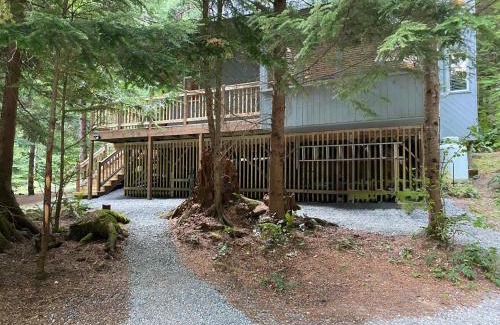 Enumclaw Ski Chalet | Private Secluded 3 BR Cabin near Mt Rainier, Sunrise & Crystal Mt Hiking