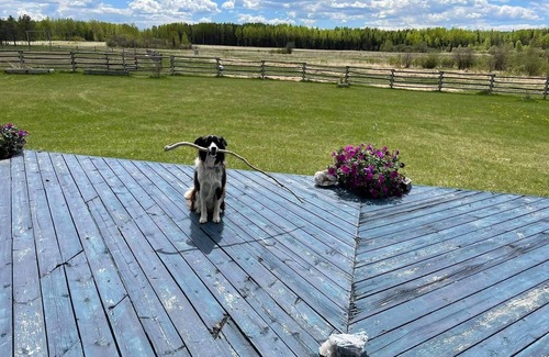 Division No. 11 House | Private Secluded House and yard on Beautiful 1/4 section - Pet Friendly