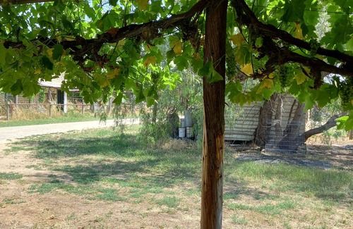 Gillieston Cottage | Private self-contained Cottage on working farm in Undera, Northern Victoria.