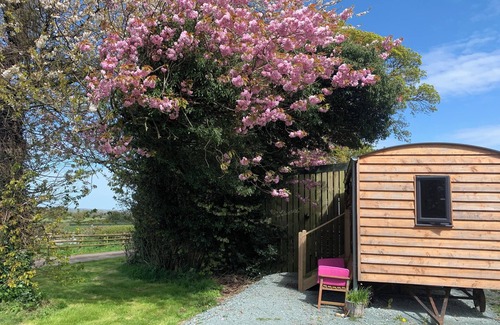 Grinshill Cabin | Private Shepherd's Hut with landmark views