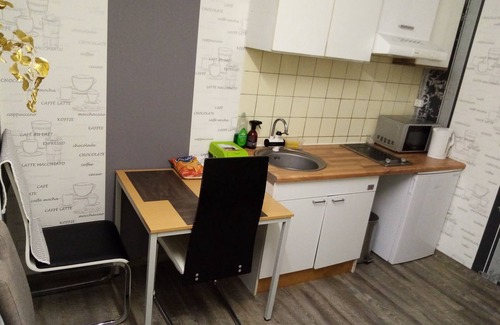 Ruesselsheim House | Private Soutrrian Apartment (R) OpelCity near Frankfurt Airport