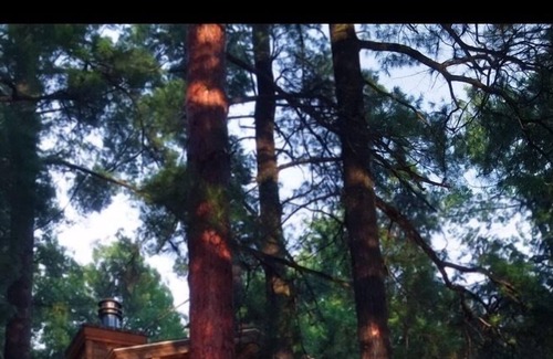 Mayfield Cabin | Private spacious lakefront lodge on 180 acres.