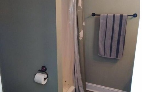 Chesapeake Apartment | Private, Spacious Studio Apartment, Bathroom
