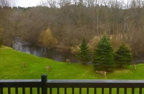 Pembine Apartment | Private Suite Wisconsin Northwoods Getaway