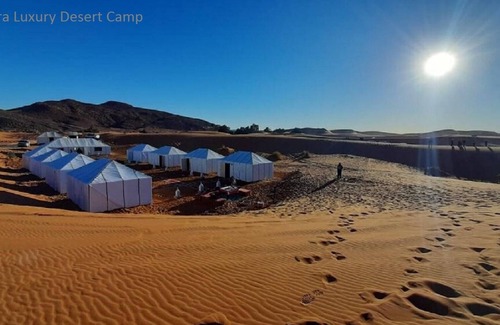 Taouz Bed & Breakfast | Private tent and camel ride