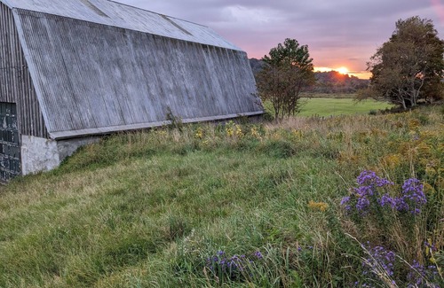 Osceola RV Rental | Private tent camping along the Salmon River on 165-acre Farm!