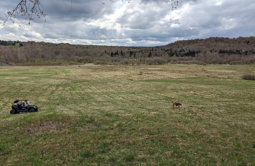 Osceola RV Rental | Private tent camping along the Salmon River on 165-acre Farm!