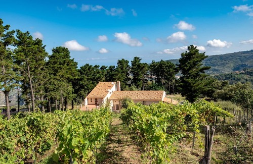 San Marco d'Alunzio Villa | Private Villa with Vineyard, Pool & Stunning Views - LA COLLINA DEI NEBRODI