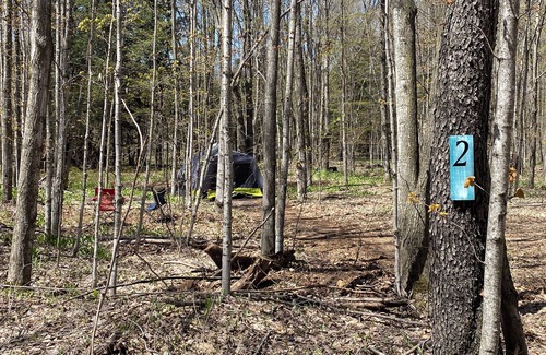 Beulah RV Rental | Private Wooded Campsite for Tents or Small RV's #3