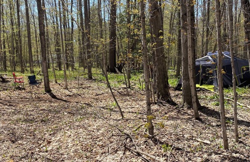 Beulah RV Rental | Private Wooded Campsite for Tents or Small RV's #3