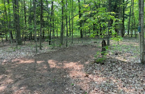 Benzonia RV Rental | Private Wooded Campsite for Tents or Small RV's #4