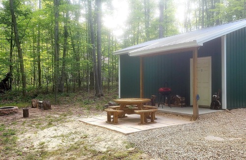 Higgins Lake Cabin | Private, wooded, cozy cabin close to Higgins Lake has everything you need!