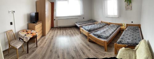 Ludrova House | Privatsalatin