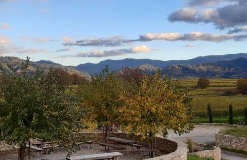 Heitersheim House | Privatweingut Schmidt