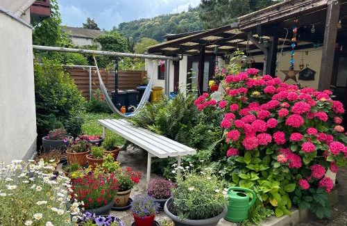 Osterspai House | Privatzimmer mit eigenem Bad und Blick auf den Rhein