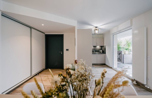 Boofzheim Apartment | Proche Europapark ! Appartement « Bouleau » Neuf et Tout Confort