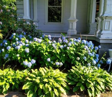 Wrentham Bed & Breakfast | Proctor Mansion Inn