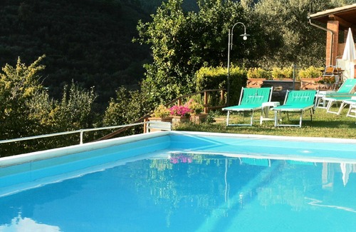 Calci Apartment | Promotion Typical Tuscan house surrounded by olive trees