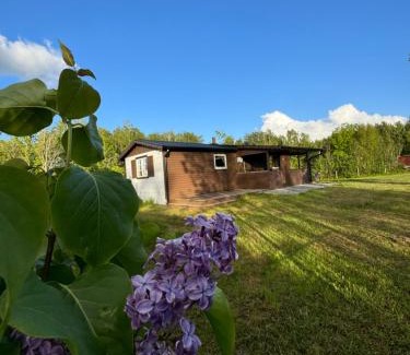 Skovde Municipality House | Property with evening sun in a scenic location