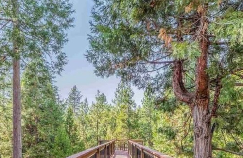 Tuolumne County Cabin | Prospectors Paradise ⛏ 🤠