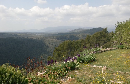 Saint-Cezaire-sur-Siagne House | Provencal cabanon with private pool for couples