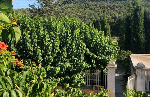 Goult House | Provencal farmhouse in the heart of the Luberon