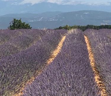 Bonnieux Apartment | Provence Luberon Bonnieux location gite chez Marcelle