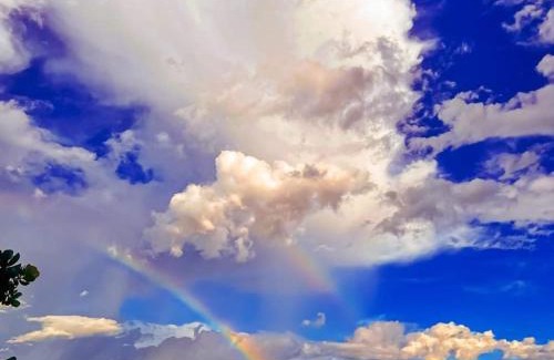 Prumirim House | prumirim beach house