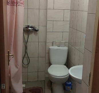 Palyanytsya House | Prutets