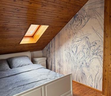 Zabkowice Slaskie Apartment | Przystanek Okrężna