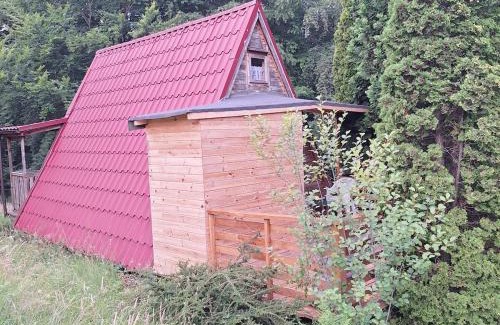 gmina Łososina Dolna House | Przytulny domek na skraju lasu