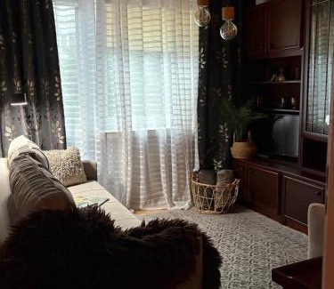 Ostrowiec Swietokrzyski Apartment | Przytulny Apartament