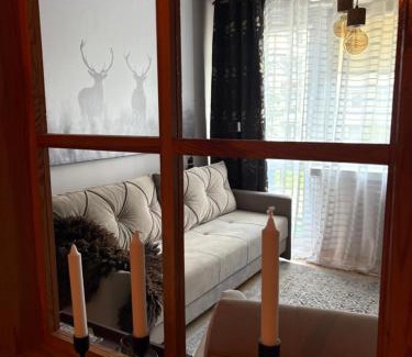 Ostrowiec Swietokrzyski Apartment | Przytulny Apartament