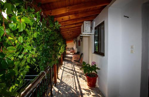 Therma Hotel | Psarotherma Rooms