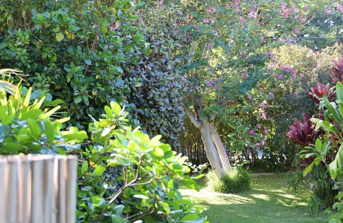 Kamuela Cottage | PUAKO 1940's Vintage Beach Cottage - Now with Air Conditioning