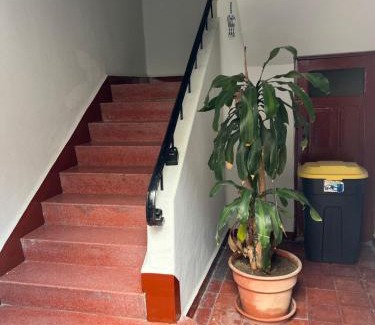 Puebla Historic Center Apartment | Puebla en familia