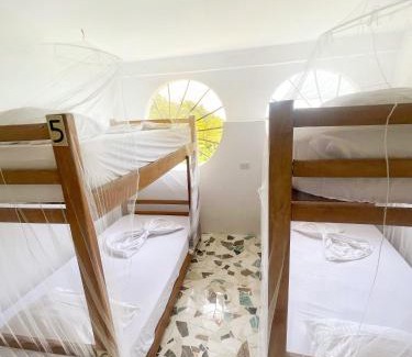 Buritaca House | Puerto Alto Hostel