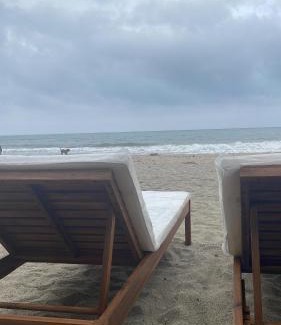 Palomino House | Puerto Manglar Hostal