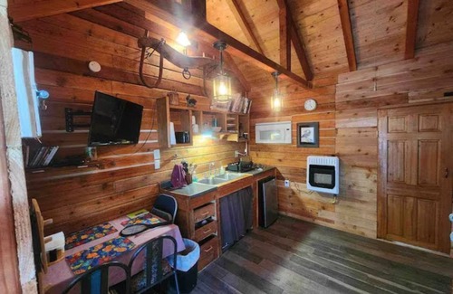 Ridgeway Cabin | Puffin Cabin; Immersed In NatureNear Kenai River