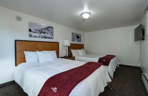 Turnagain Hotel | Puffin Inn