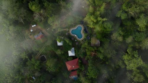 Kattikkulam Resort | Pugmarks Jungle Lodge