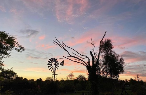 Rutherglen House | Pull Up Stumps