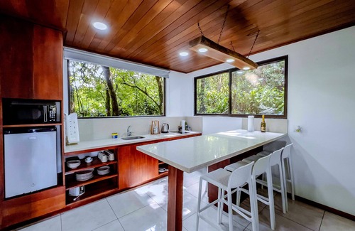 Quebrada Grande Apartment | Puma Meraki Monteverde garden