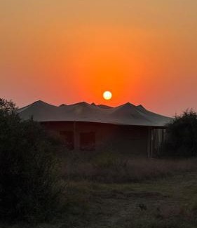 Serengeti National Park Cabin | Pumba Luxury Camp - Serengeti