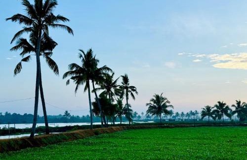 Kochi Other | Punarjani Kadamakuddy