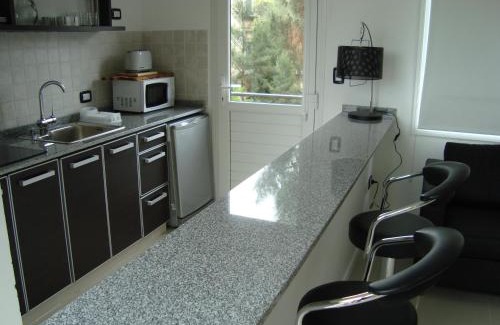 Las Gaviotas Apartment | Punta 28