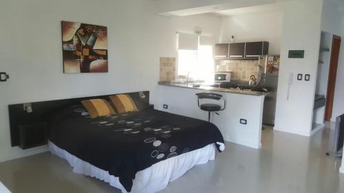 Las Gaviotas Apartment | Punta 28