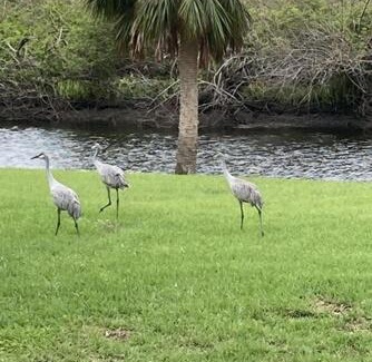 Punta Gorda House | Punta Gorda Peace River Sunsets