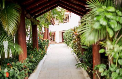 Playa Las Gatas House | Punta Marina Casa 7